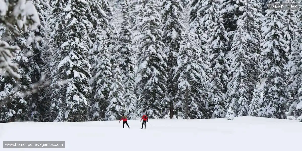 🔥全球赛事，一触即发！⚽️🏀你的热血主场，就在这里！